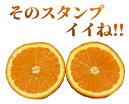 764678104