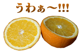 764678106