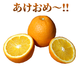 764678126