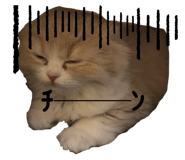764679830