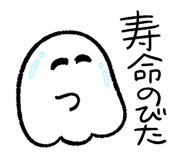764707980