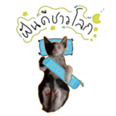 764725087