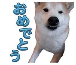 764740374