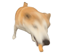 764740383