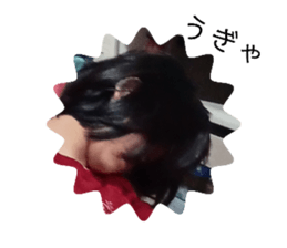 764748381