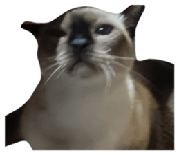 764757578