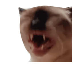 764757747