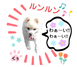 764760988
