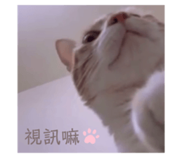 764764370