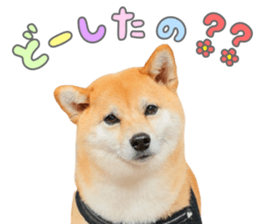764765582