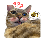 764765635