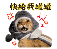 764765638