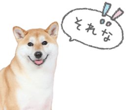 764765746