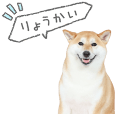764765748