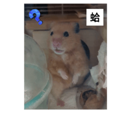 764765876