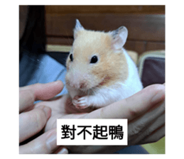 764765894