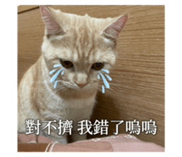 764767863