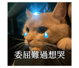 764767870