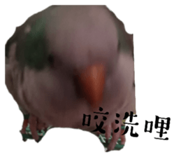 764774367