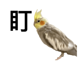 764774900