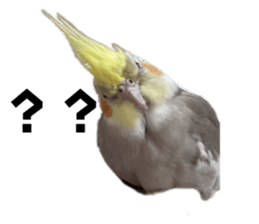 764774925