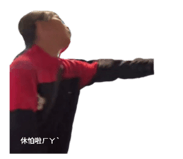 764779037