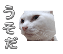 764786674