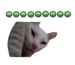 764786676