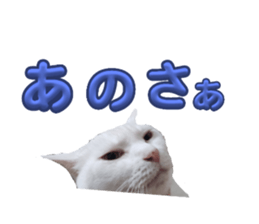 764786677