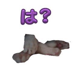 764786679