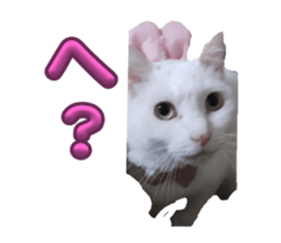 764786681
