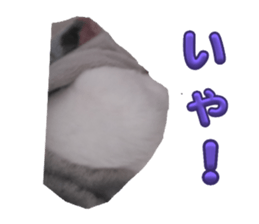 764786682