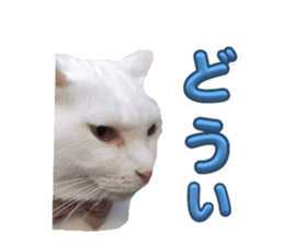 764786686