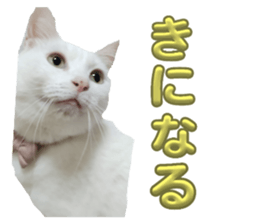 764786687