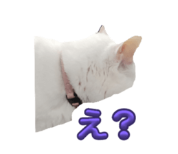 764786688