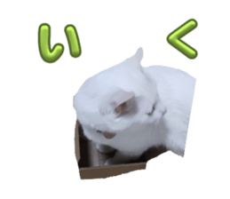 764786690