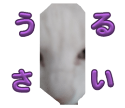 764786696