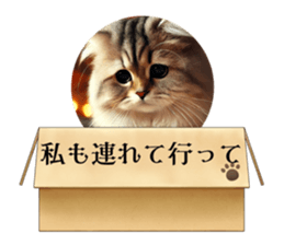 764833680