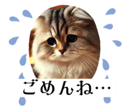 764833684