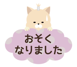 7648428