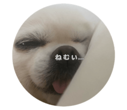 764856925
