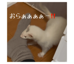764857124