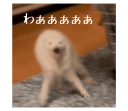 764857126