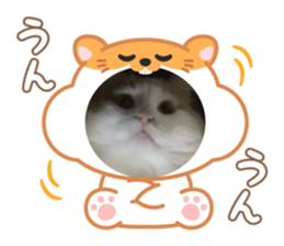764859999