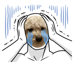 764863599