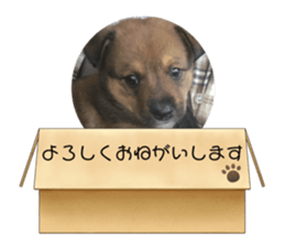 764863785