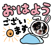 764863867