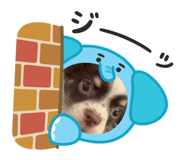 764863884
