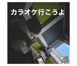 764864553