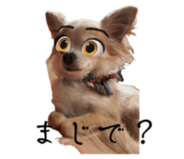 764864690